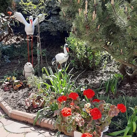 House Near The Sea בית נופש
